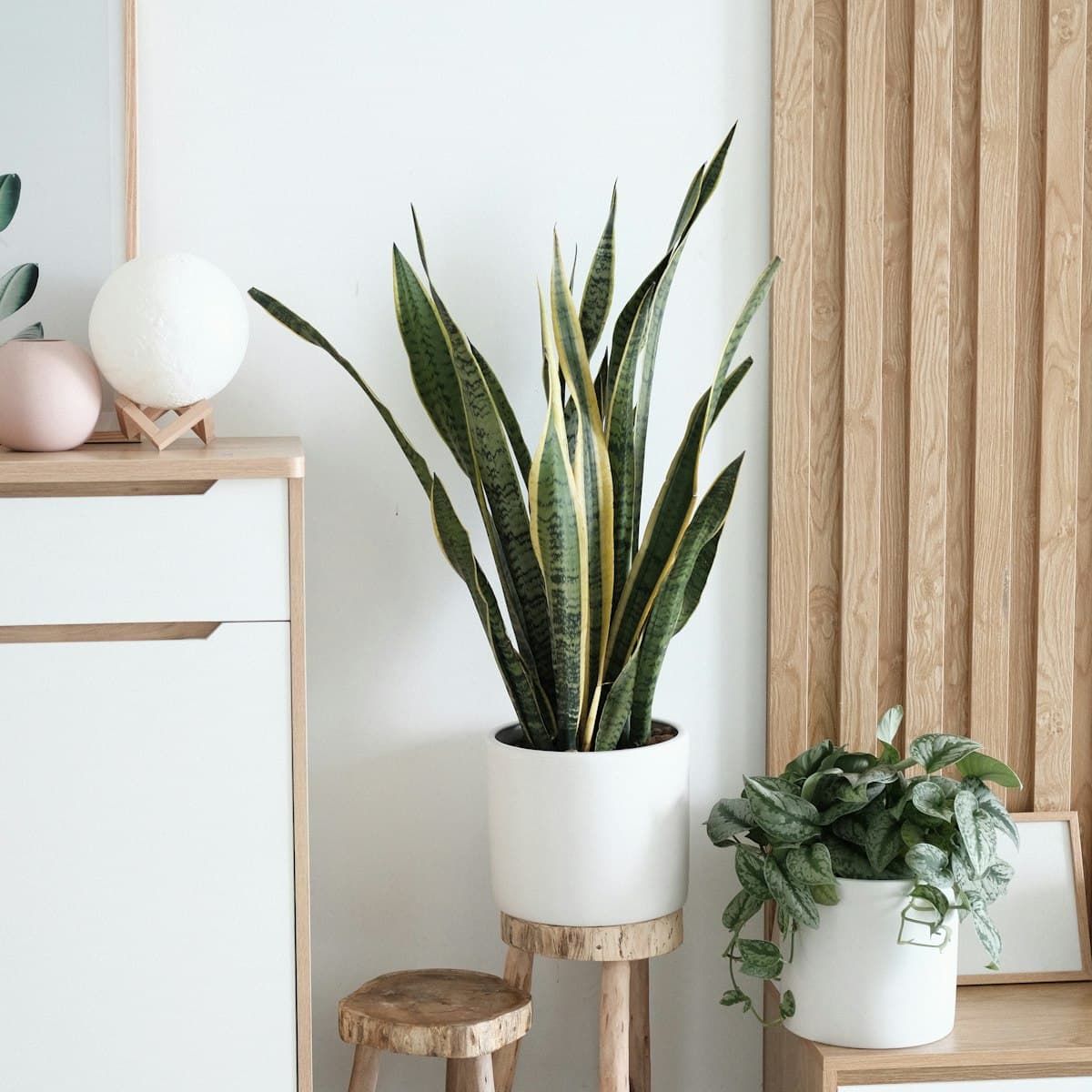 Aparador buffet branco de duas portas com vasos de plantas ao lado, junto à parede ripada
